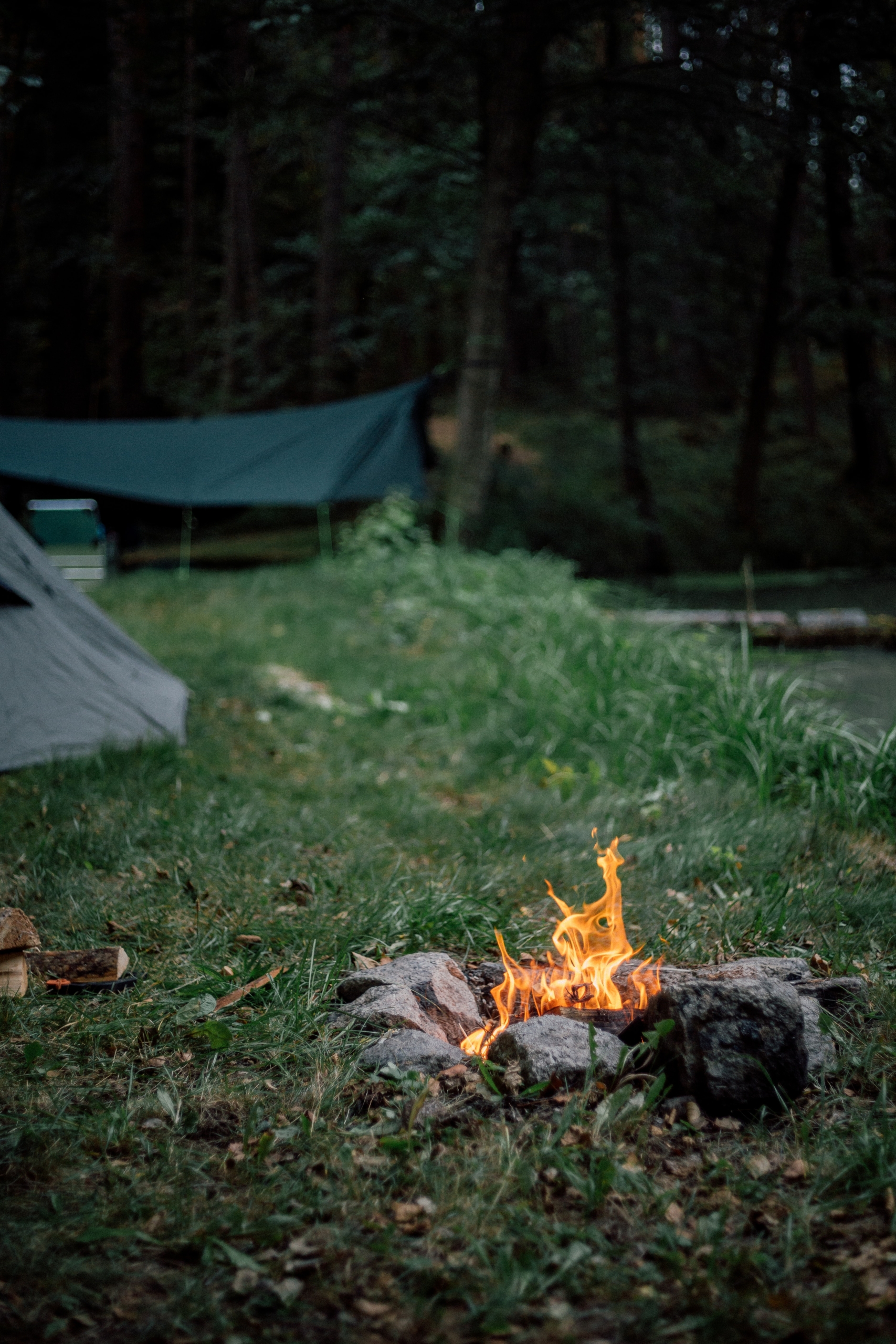 adrian-infernus-FAJr9FVJunQ-unsplash