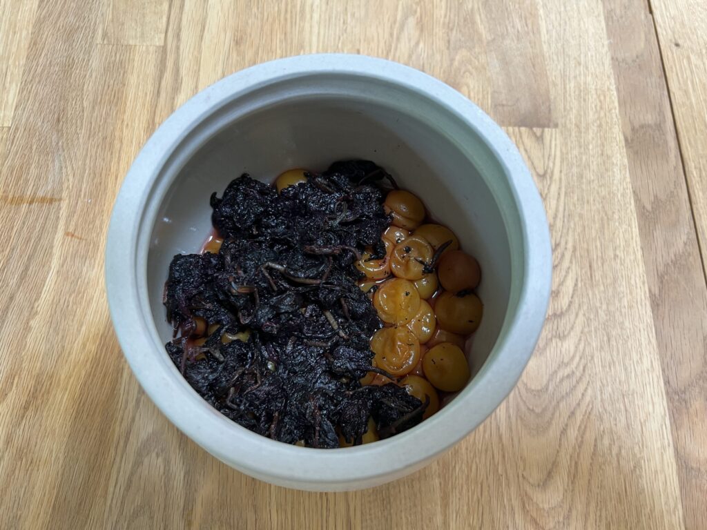 黄色い梅がこれから赤く色づいていく